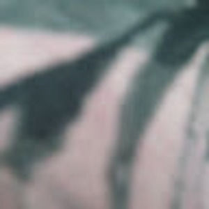 Meet your Posher, Moni